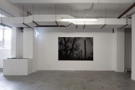VIOLA EPLER
