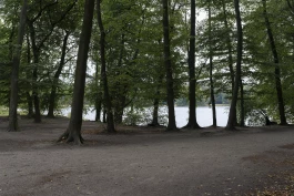VIOLA EPLER