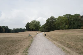 VIOLA EPLER